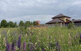 ��������� ������� 12 ���.