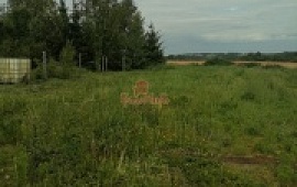 ��������� ������� 14 ���.