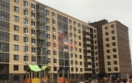 2-���. �������� 56 ��.�.