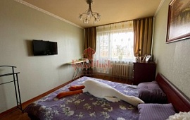 3-���. �������� 52.8 ��.�.