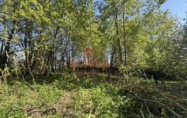 ��������� ������� 5.5 ���.