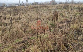 ��������� ������� 7.49 ���.