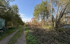 ��������� ������� 6 ���.