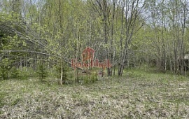 ��������� ������� 8 ���.