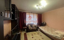 3-���. �������� 66.3 ��.�.