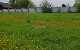 ��������� ������� 22 ���.