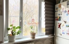 3-���. �������� 65.8 ��.�.