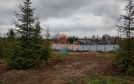 ��������� ������� 11 ���.