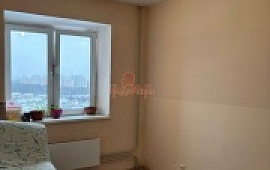 2-���. �������� 51.7 ��.�.