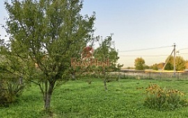 ��������� ������� 6 ���.