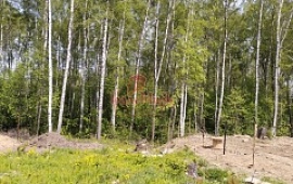 ��������� ������� 9.3 ���.