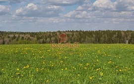 ��������� ������� 7 ���.