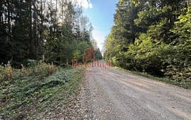 ��������� ������� 15 ���.